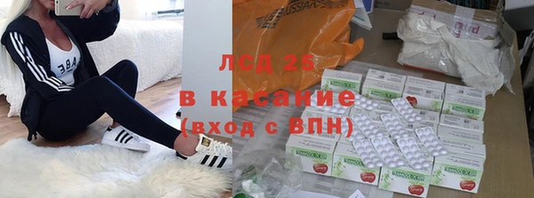 PSILOCYBIN Козельск
