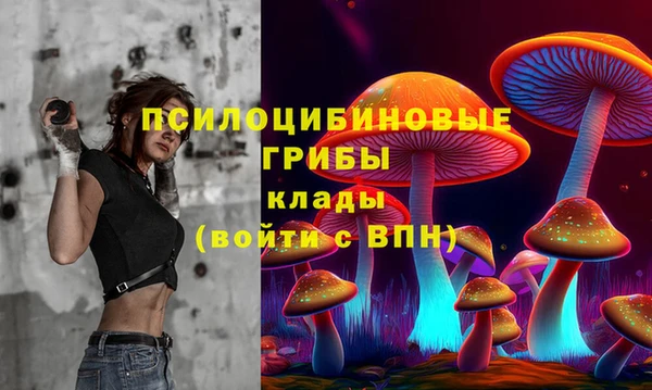 PSILOCYBIN Козельск