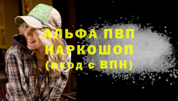 PSILOCYBIN Козельск