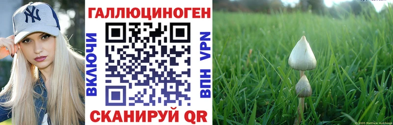 Псилоцибиновые грибы мухоморы  Пустошка 